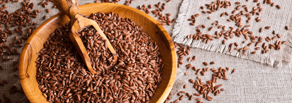 Brown Rice Protein