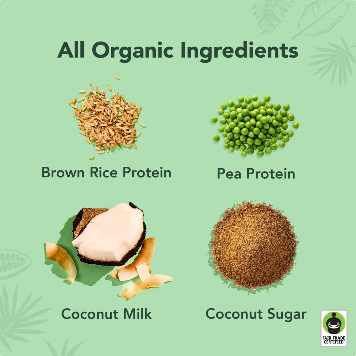 Coconut - Protein Drinks