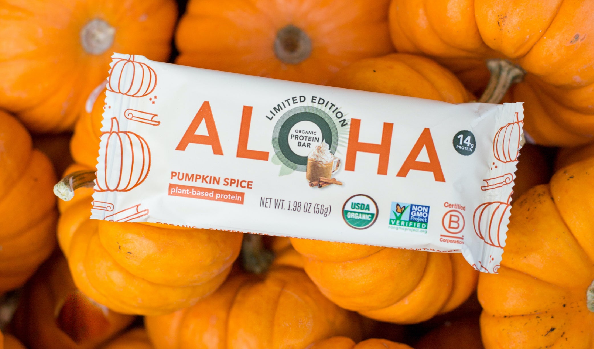 ALOHA Pumpkin Spice organic protein bar 