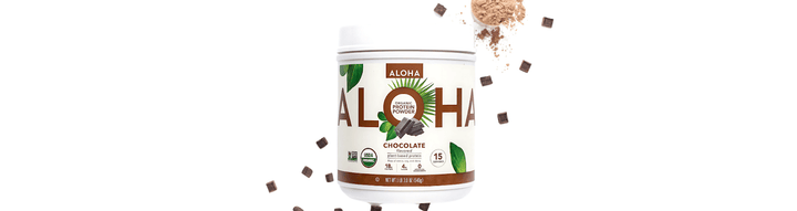 Chocolate Protein Powder Recipes