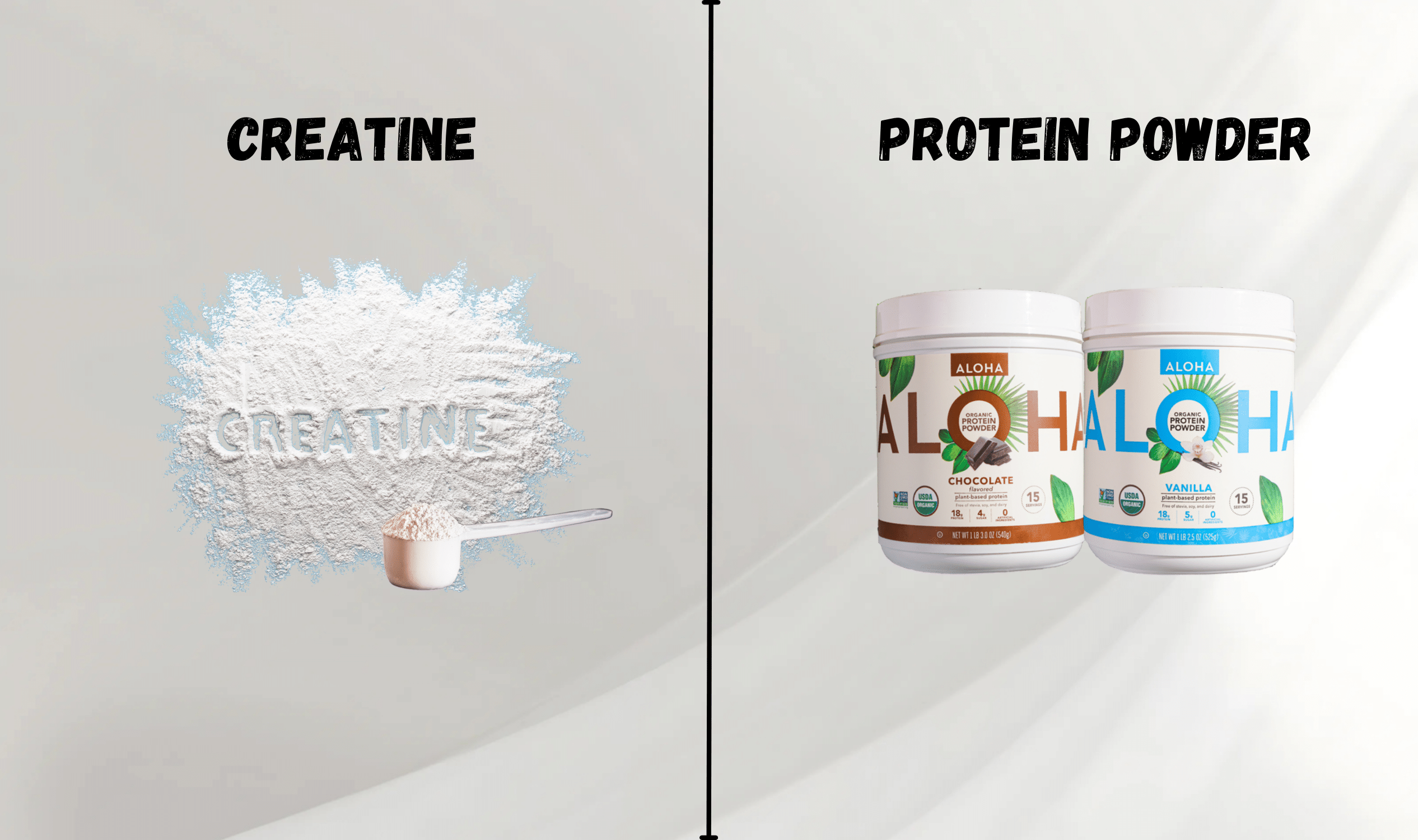 Creatine Vs Protein Powder