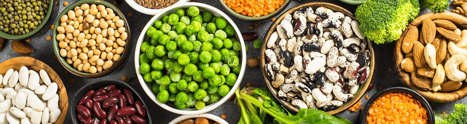 Plant based Protein foods