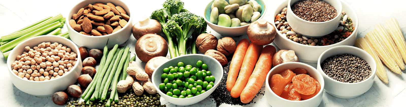 What Is Plant Based Protein