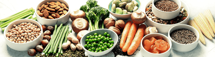 What Is Plant Based Protein