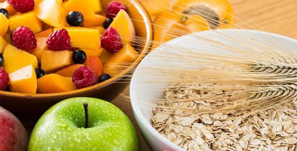 plant based fiber