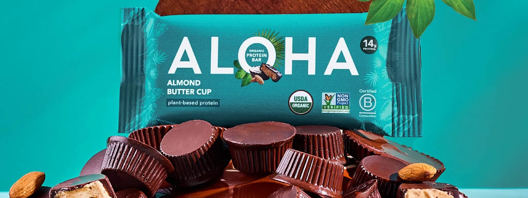 Two types of protein powder in shaker bottles - whey protein and plant-based protein