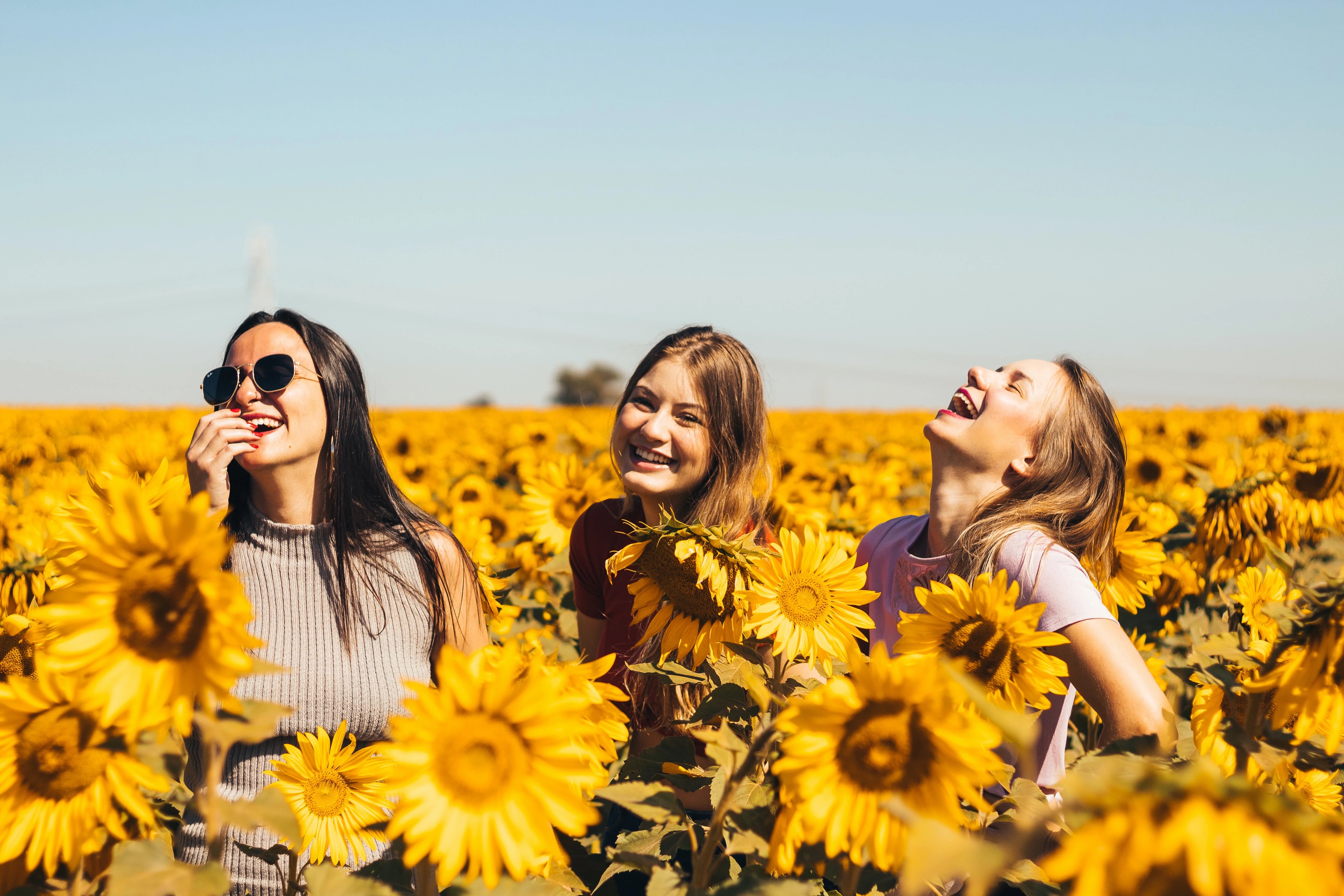 Unveiling the Facts: Is Sunflower Oil Bad for You?