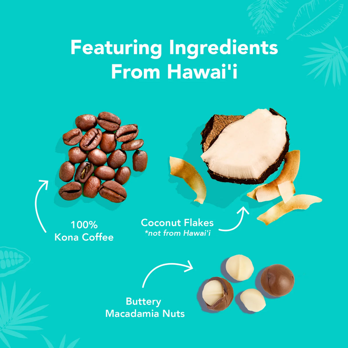 The Kona Bar - Protein Bars