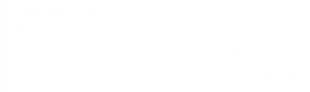 Chocolate Chip Cookie Dough - Protein Bars (CAD)
