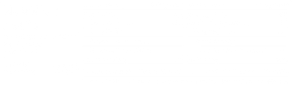 Lemon Cashew - Protein Bars