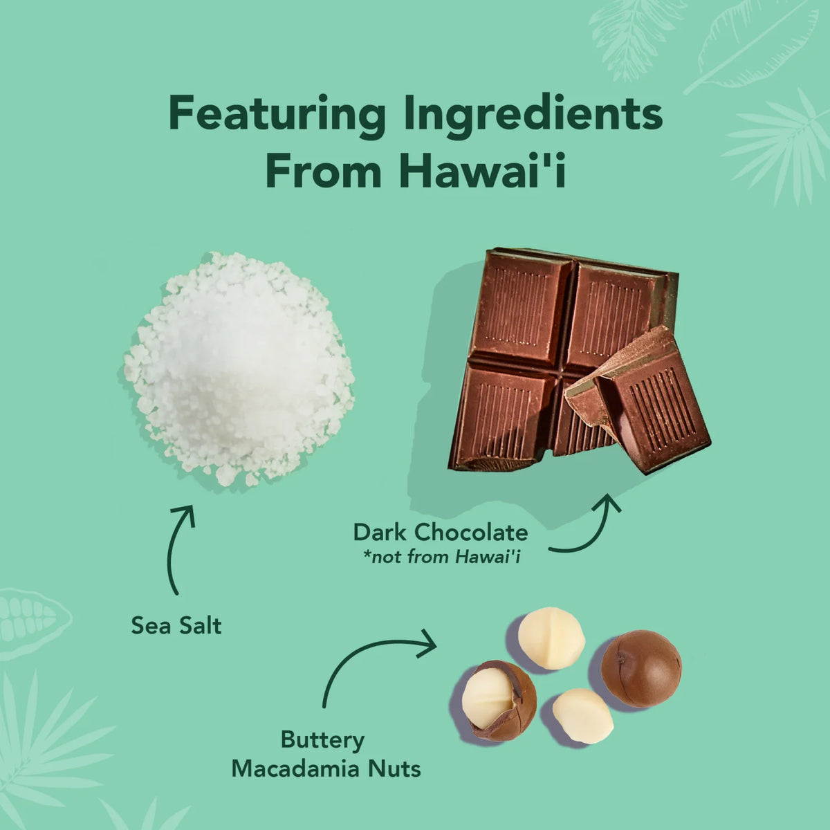 The Pa'akai Bar - Protein Bars