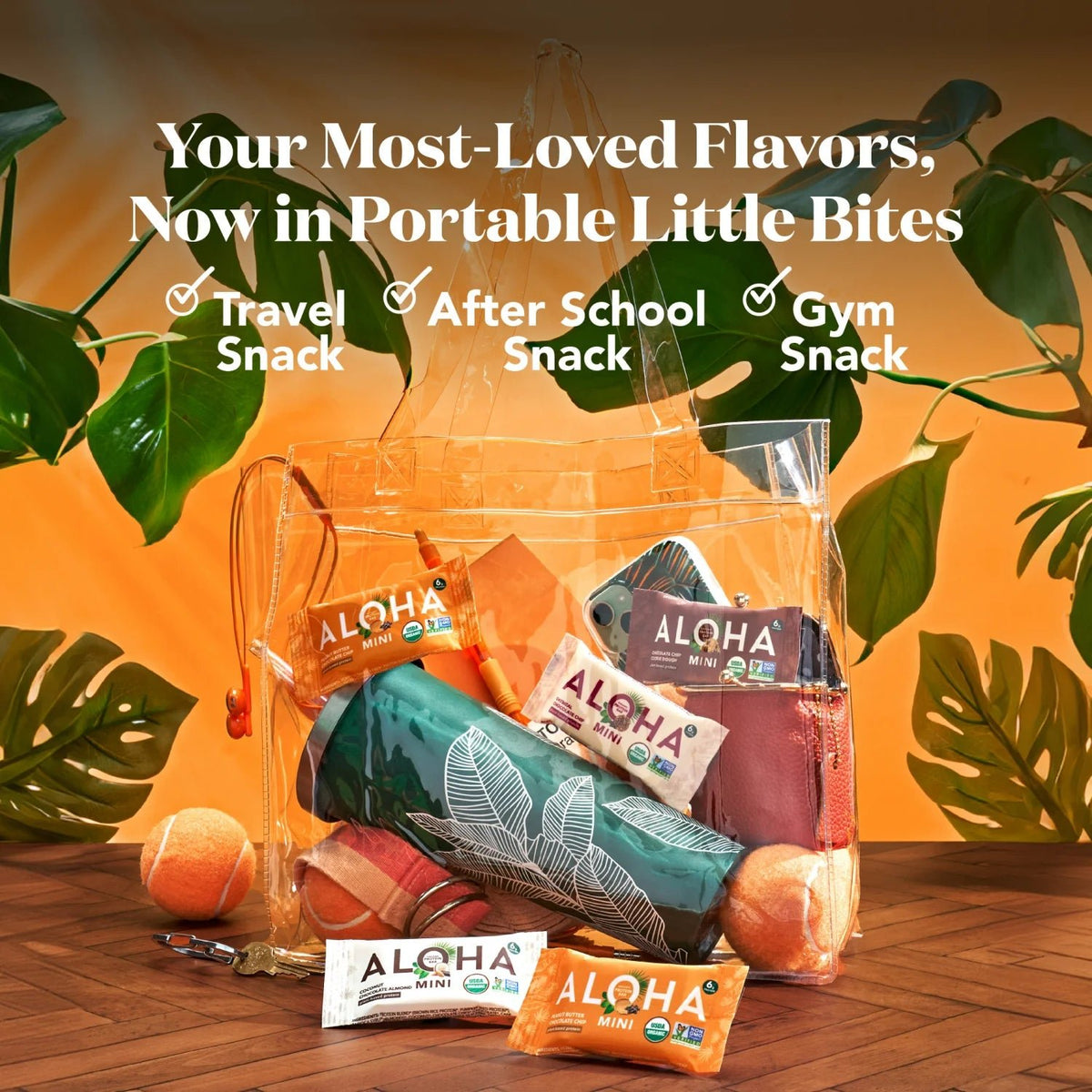 Mini Protein Bar Sampler - Variety Pack