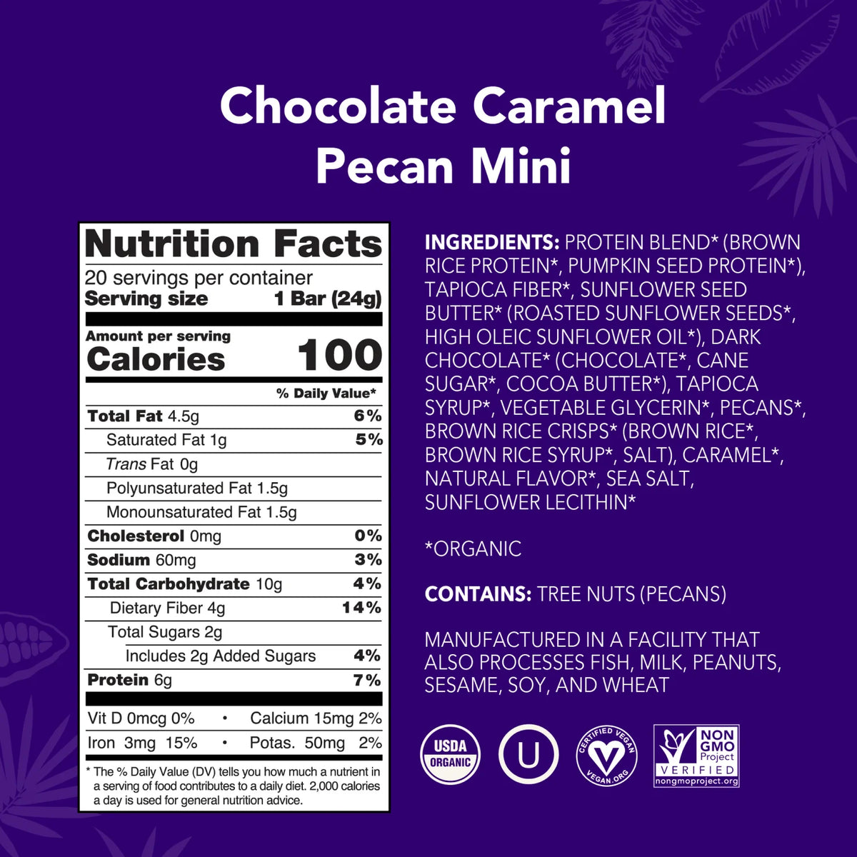 Chocolate Caramel Pecan - Mini Bars