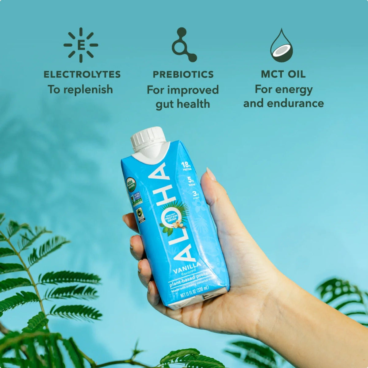 Vanilla - Protein Drinks