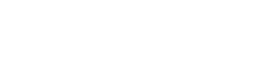 Blueberry - Protein Bars