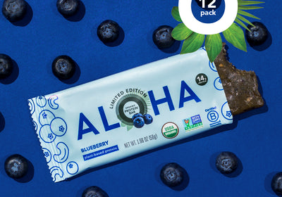 Blueberry - Protein Bars