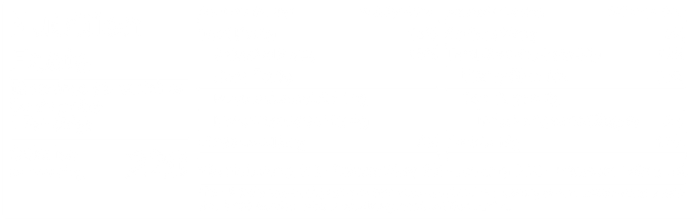 Chocolate Mint - Protein Bars (CAD)