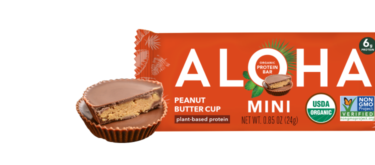 Mini Bars - Peanut Butter Cup