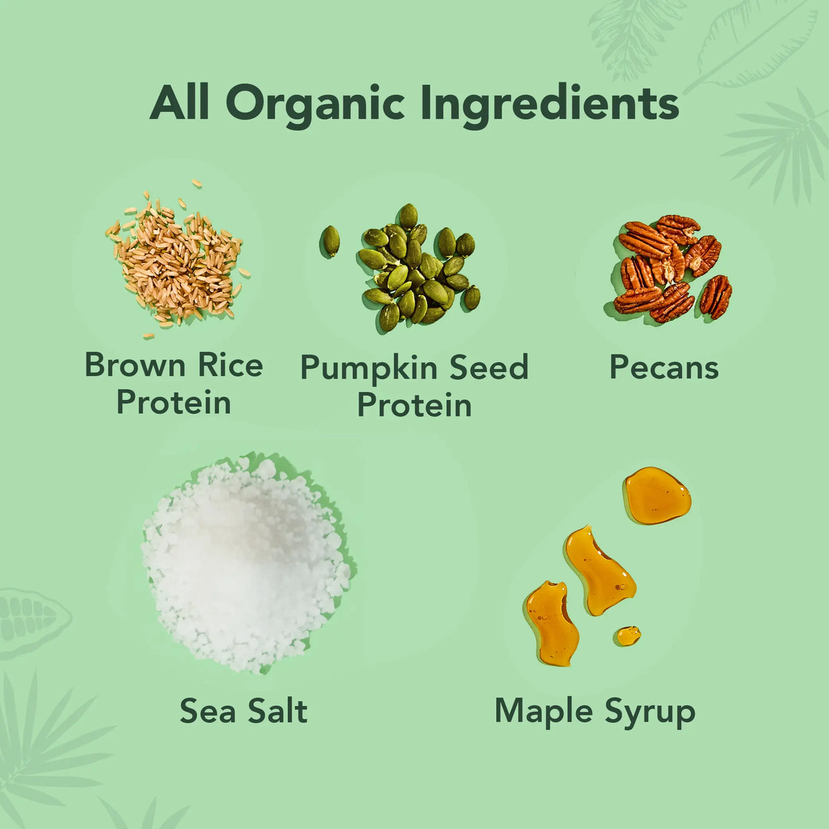 Maple Sea Salt - Protein Bars