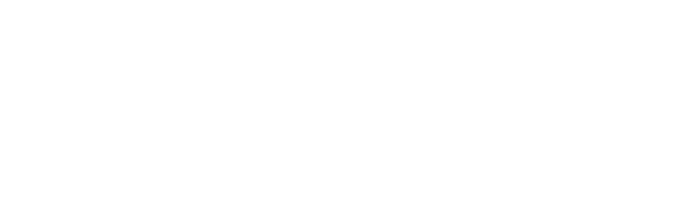 Peanut Butter Chocolate Chip (Best By Sept 22nd, 2026) - Mini Bars