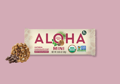 Oatmeal Chocolate Chip - Mini Bars