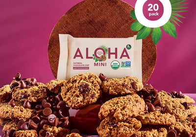 Oatmeal Chocolate Chip - Mini Bars