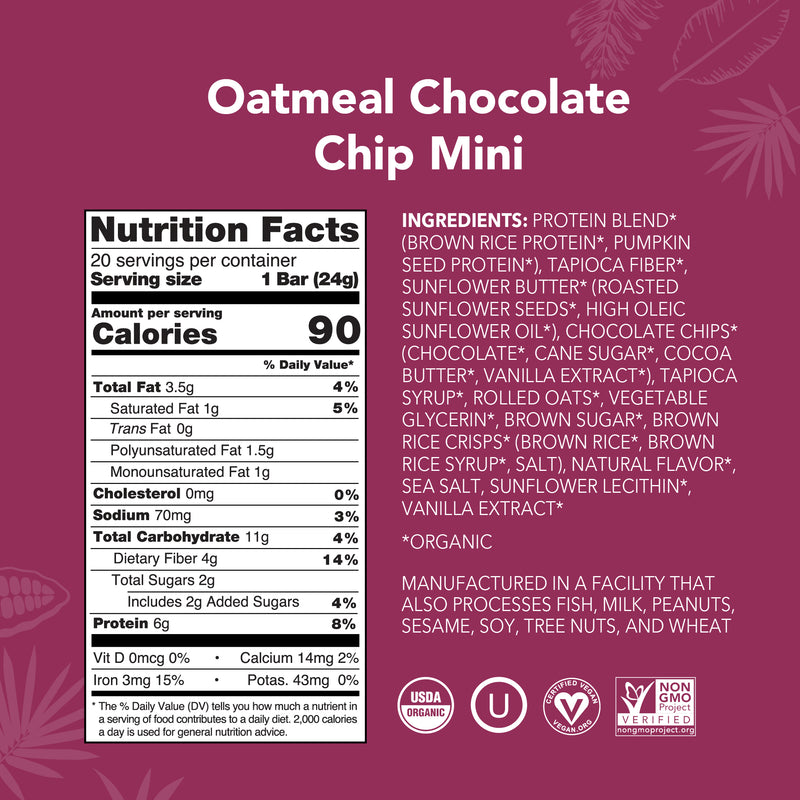 Oatmeal Chocolate Chip - Mini Bars