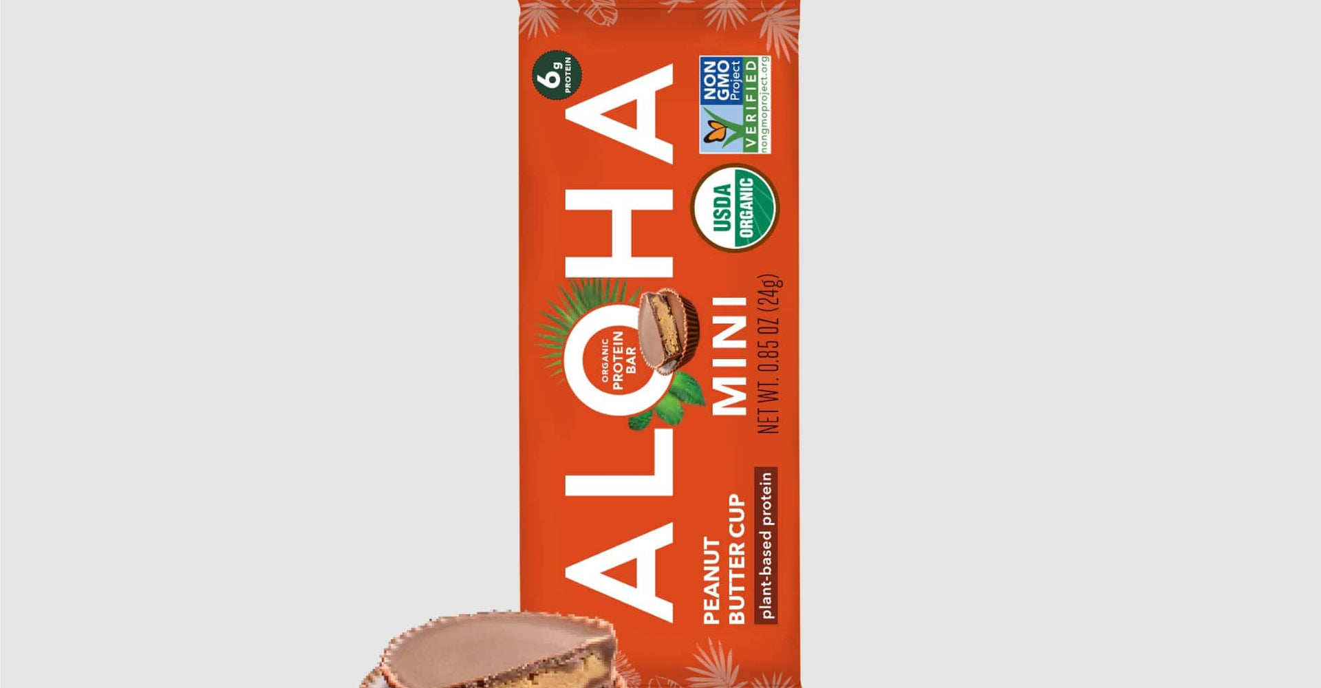 Mini Protein Bar