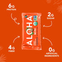 Peanut Butter Cup - Mini Bars