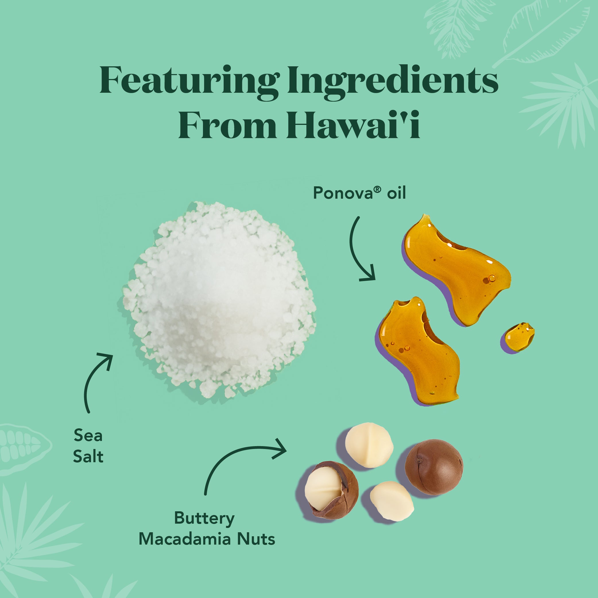 The Pa'akai Bar - ALOHA