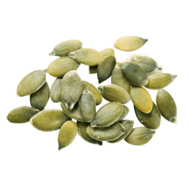 Pumpkin Seed Protein