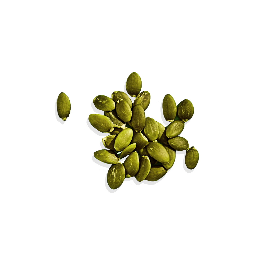Pumpkin Seeds