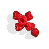 Real Fruit