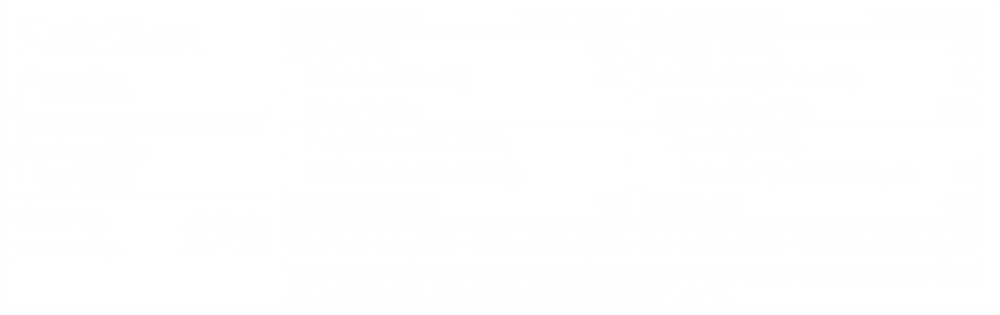 Strawberry - Protein Bars