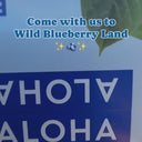 alohamoment_1717180048_3380273072181974724_469906841.mp4