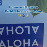 alohamoment_1717180048_3380273072181974724_469906841.mp4